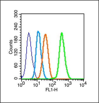 Phospho-PKC delta (Ser645) Rabbit Polyclonal Antibody