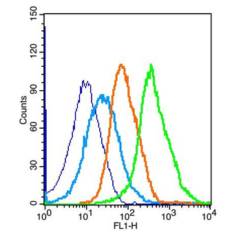 Peroxiredoxin 1 Rabbit Polyclonal Antibody