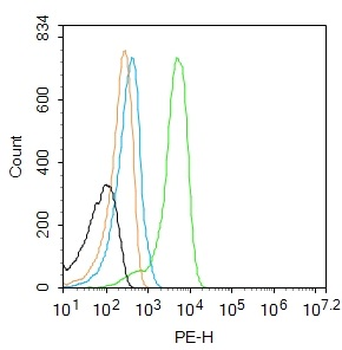 S100A13 Rabbit Polyclonal Antibody