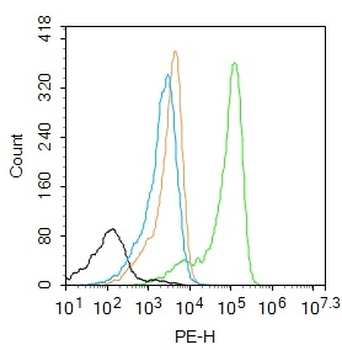 S100-A8 / MRP8 Rabbit Polyclonal Antibody