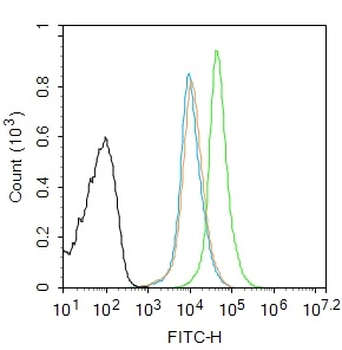 S100-A8 / MRP8 Rabbit Polyclonal Antibody