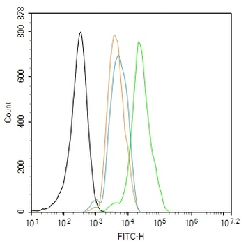 Phospho-SHC1 (Tyr427) Rabbit Polyclonal Antibody