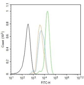Phospho-SHC1 (Tyr317) Rabbit Polyclonal Antibody
