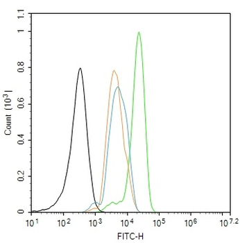 Phospho-SHC1 (Tyr239 + Tyr240) Rabbit Polyclonal Antibody