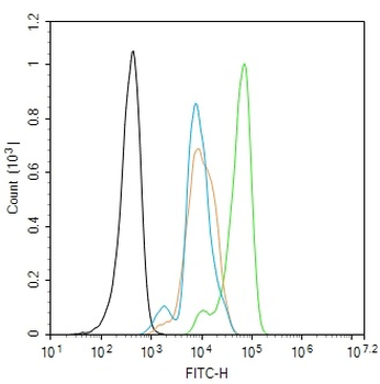 Phospho-PTPN11 (Tyr580) Rabbit Polyclonal Antibody