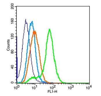 ZEB1/NIL2A Rabbit Polyclonal Antibody