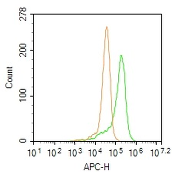 Phospho-PTPN6 (Tyr536) Rabbit Polyclonal Antibody