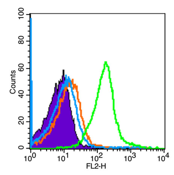 Phospho-Smad2 (Ser245 + Ser250 + Ser255) Rabbit Polyclonal Antibody
