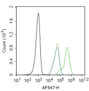 Smad3 Rabbit Polyclonal Antibody