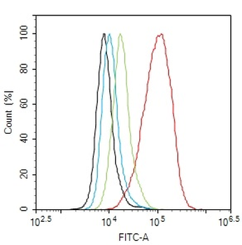 Phospho-Smad3 (Ser423 + Ser425) Rabbit Polyclonal Antibody