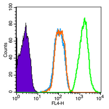 Phospho-Smad3 (Ser423 + Ser425) Rabbit Polyclonal Antibody