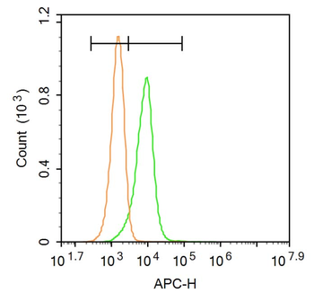 Phospho-Smad3 (Ser423 + Ser425) Rabbit Polyclonal Antibody