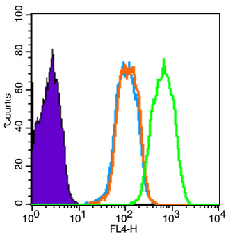 Phospho-Smad3 (Ser425) Rabbit Polyclonal Antibody