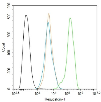 Regucalcin Rabbit Polyclonal Antibody