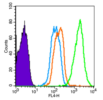 Phospho-Alpha synuclein (Ser129) Rabbit Polyclonal Antibody
