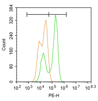 SIK1 Rabbit Polyclonal Antibody