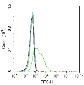 ITGB3 Rabbit Polyclonal Antibody
