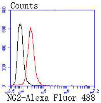 NG2 Recombinant Rabbit Monoclonal Antibody