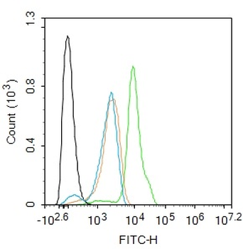 MKLP1 Recombinant Rabbit Monoclonal Antibody