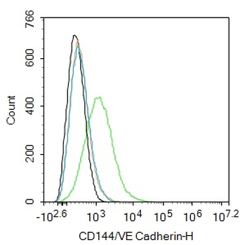 CD144/VE Cadherin Rabbit Polyclonal Antibody