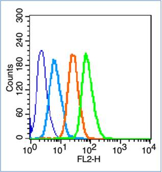 CD133 Rabbit Polyclonal Antibody