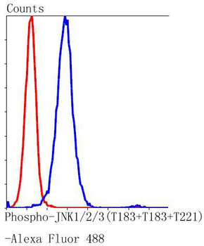 Phospho-JNK1/2/3 (T183+T183+T221) Recombinant Rabbit Monoclonal Antibody