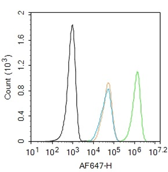 ERK1/2 Recombinant Rabbit Monoclonal Antibody