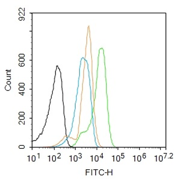 TAK1 Rabbit Polyclonal Antibody