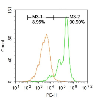 Phospho-TRIM28 (Ser824) Rabbit Polyclonal Antibody