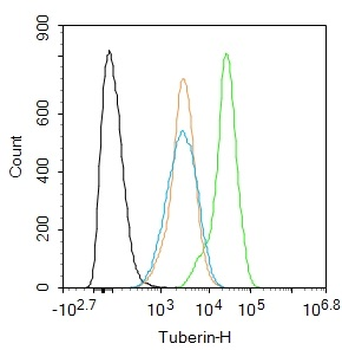 Tuberin Rabbit Polyclonal Antibody