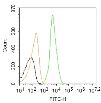 ADAM17 Rabbit Polyclonal Antibody (FITC)