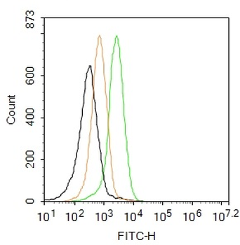 CD133 Rabbit Polyclonal Antibody (FITC)
