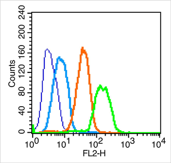 CD44v7 Rabbit Polyclonal Antibody