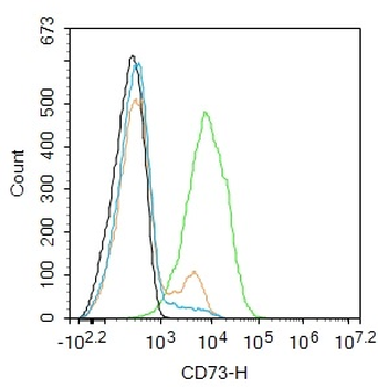 CD73 Mouse Monoclonal Antibody