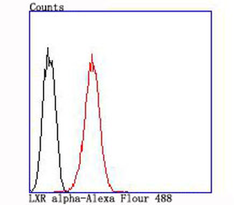 LXR alpha Recombinant Rabbit Monoclonal Antibody