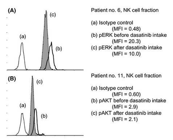 Phospho-ERK1 (Thr202/Tyr204) + ERK2 (Thr183/Tyr185) Rabbit Polyclonal Antibody