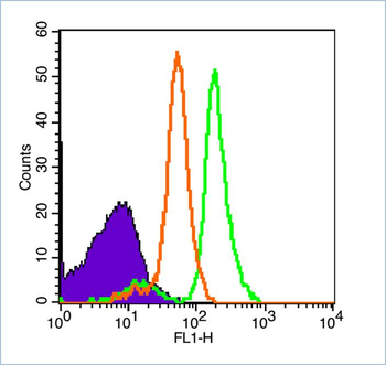 ID1 Rabbit Polyclonal Antibody (FITC)
