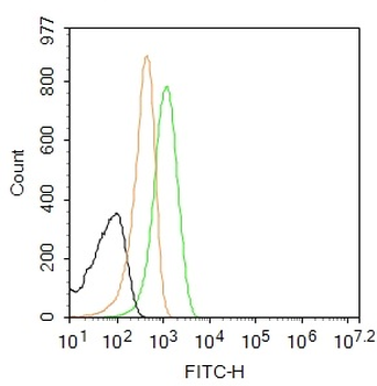 Phospho-GSK-3 Beta (Ser21+Ser29) Rabbit Polyclonal Antibody (FITC)