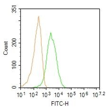 HLA-DPB1 Rabbit Polyclonal Antibody (FITC)