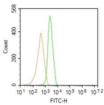 Phospho-AMPK alpha-2 (Thr172) Rabbit Polyclonal Antibody (FITC)