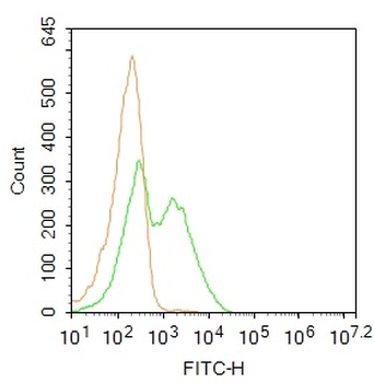 CD80 Rabbit Polyclonal Antibody (FITC)
