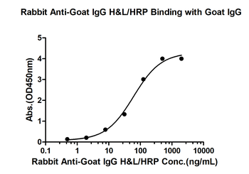 Rabbit Anti-Goat IgG H&L, HRP conjugated