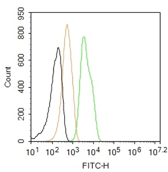 CK18 Rabbit Polyclonal Antibody (FITC)