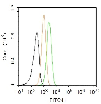 Cytokeratin 19 Rabbit Polyclonal Antibody (FITC)