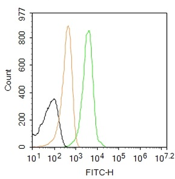Phospho-GCN2 (Thr899) Rabbit Polyclonal Antibody (FITC)