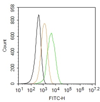 Glucagon Rabbit Polyclonal Antibody (FITC)