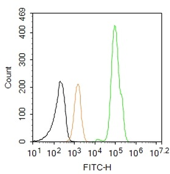 Phospho-Histone H3 (Ser10) Rabbit Polyclonal Antibody (FITC)