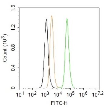 Phospho-Histone H3 (Ser10) Rabbit Polyclonal Antibody (FITC)