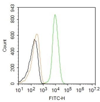 S100-A8 / MRP8 Rabbit Polyclonal Antibody (FITC)