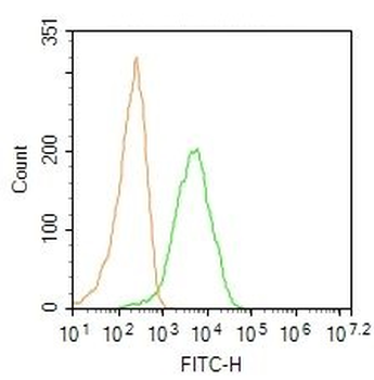 S100-A8 / MRP8 Rabbit Polyclonal Antibody (FITC)